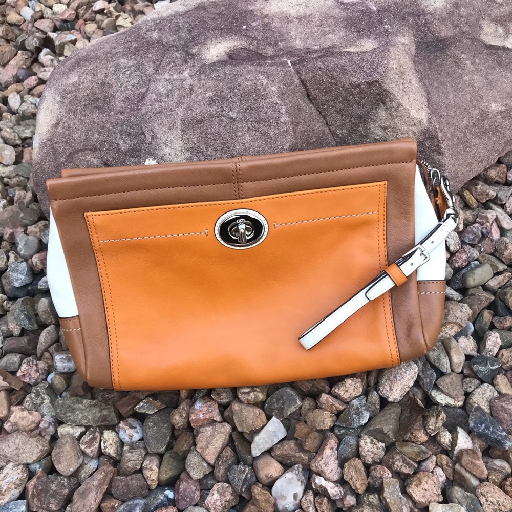 Fun leather clutch